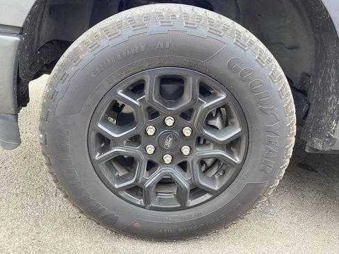 Used 2025 Ford F150 XLT w/ Equipment Group 302A MID AWD/4WD image 5