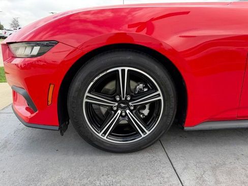 Used 2024 Ford Mustang Premium RWD image 5