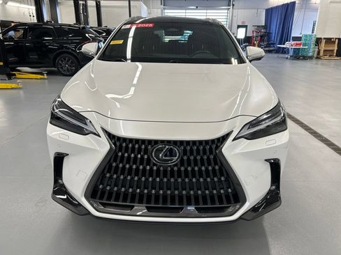 Used 2025 Lexus NX 350h AWD w/ Accessory Package (2T) image 7