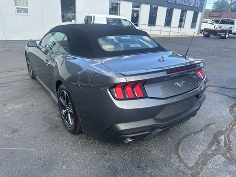 Used 2024 Ford Mustang Premium image 7