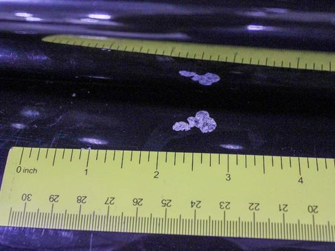 Used 1999 Dodge Dakota Sport image 24