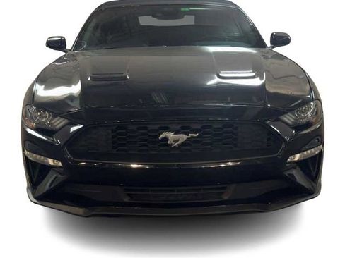 Used 2021 Ford Mustang Premium RWD image 4