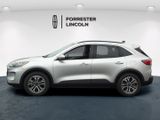 Used 2020 Ford Escape SEL image 6