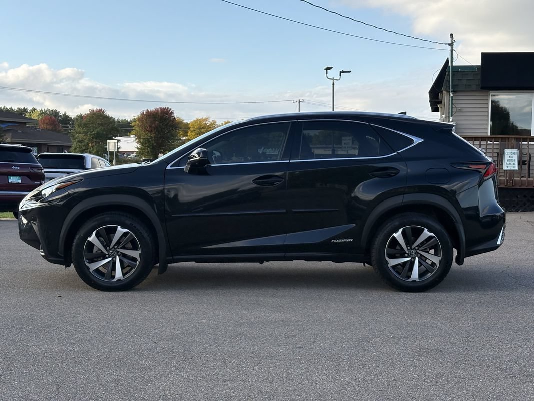 Used 2021 Lexus NX 300h AWD w/ Premium Package image 5
