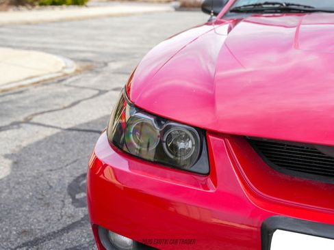 Used 1999 Ford Mustang Cobra image 56