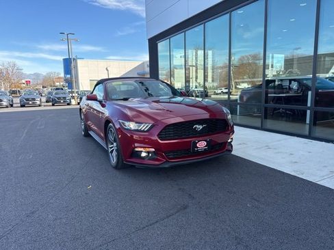 Used 2016 Ford Mustang Premium image 1