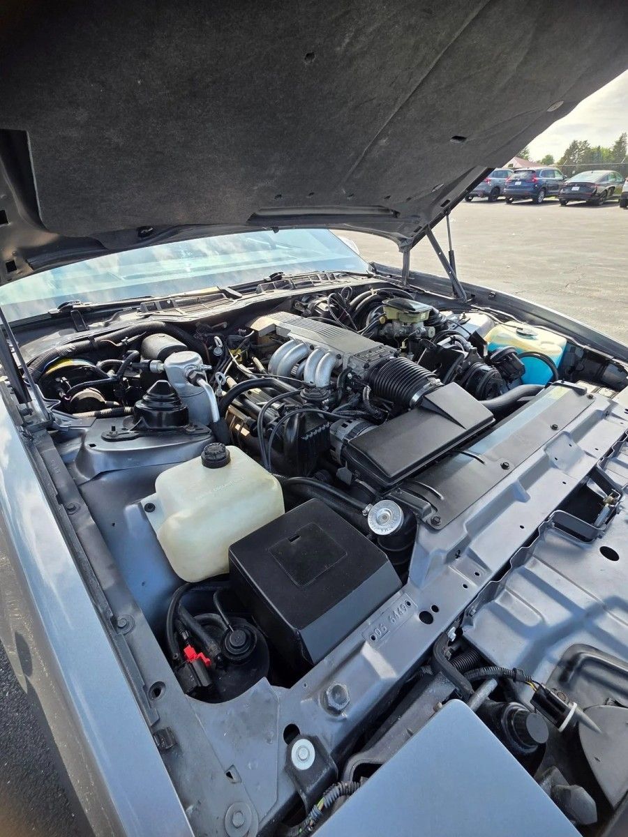 Used 1987 Pontiac Firebird Trans Am RWD image 28