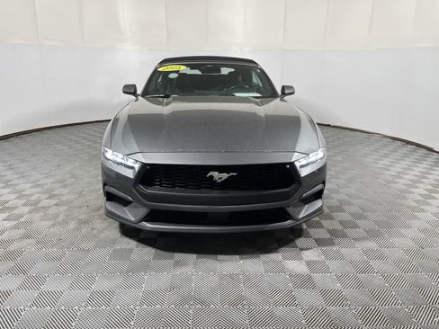 Used 2025 Ford Mustang Premium RWD image 3