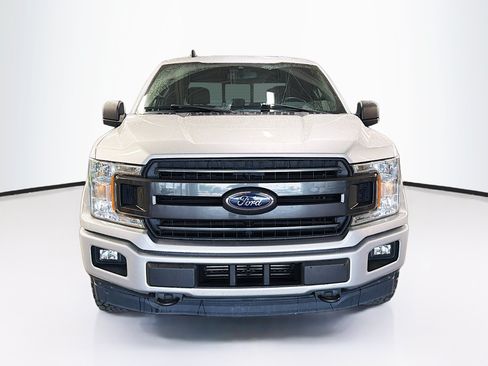 Used 2019 Ford F150 XLT w/ Equipment Group 302A Luxury AWD/4WD image 2