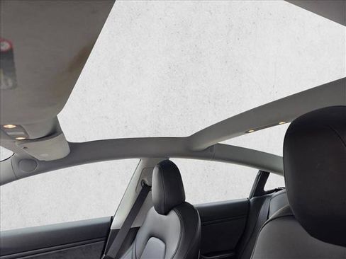 Used 2019 Tesla Model 3 Standard Range Plus image 14