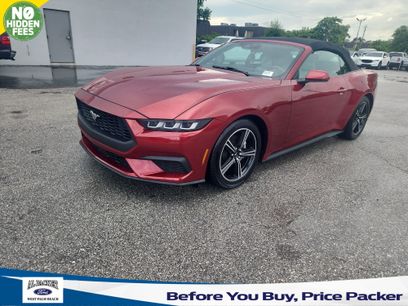 Used 2024 Ford Mustang Premium