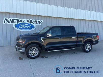 New 2025 Ford F150 XLT w/ Equipment Group 303A High