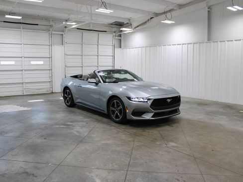 Used 2024 Ford Mustang Premium RWD image 3