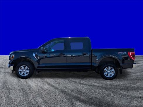 Certified 2023 Ford F150 XLT w/ Equipment Group 301A Mid image 7