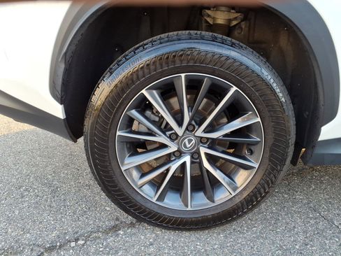 Certified 2024 Lexus NX 250 FWD w/ Cold Area Package image 12