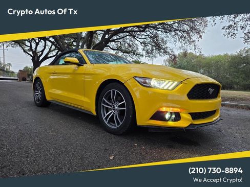 Used 2017 Ford Mustang Premium image 1