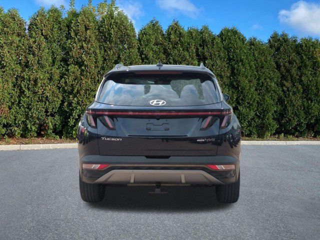 Used 2024 Hyundai Tucson Limited AWD/4WD image 5