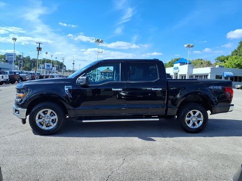 Used 2025 Ford F150 XLT w/ Equipment Group 301A Standard AWD/4WD image 7