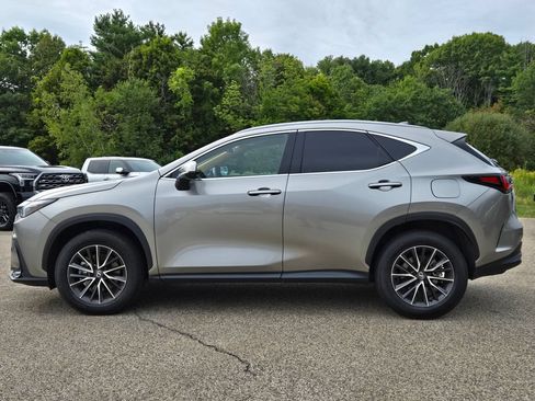 Used 2024 Lexus NX 250 FWD image 2