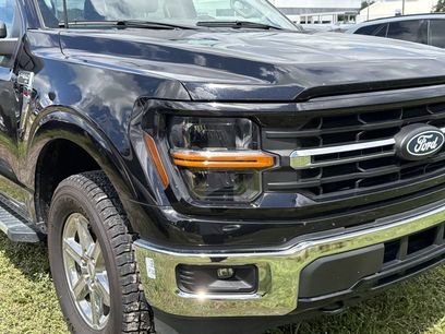 Used 2025 Ford F150 XLT w/ Equipment Group 301A Standard