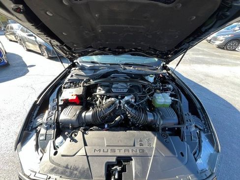 Used 2024 Ford Mustang Dark Horse image 14