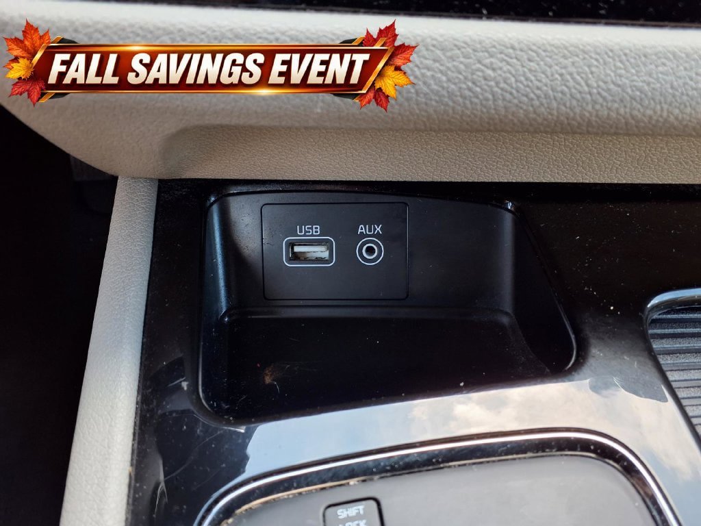 Used 2016 Kia Sedona SX FWD image 22