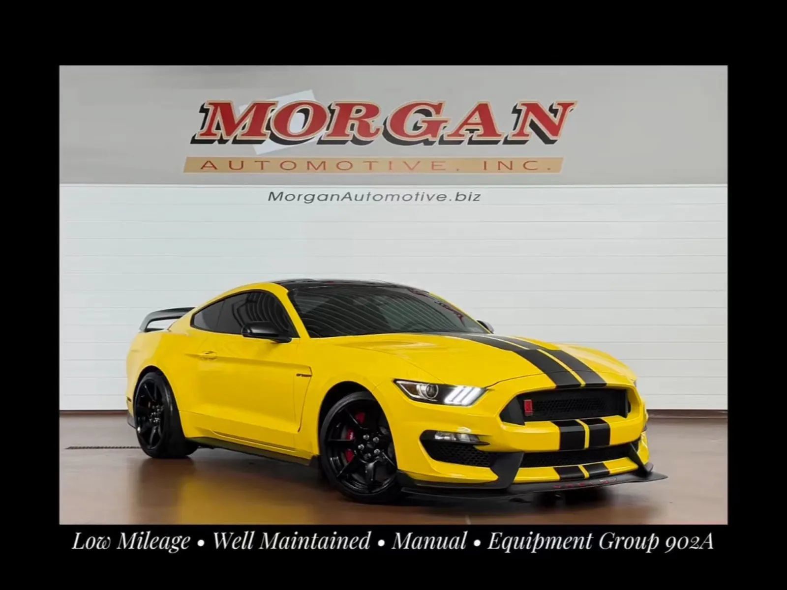 Used 2017 Ford Mustang Shelby GT350R w/ GT350R Equipment Group 920A RWD image 1