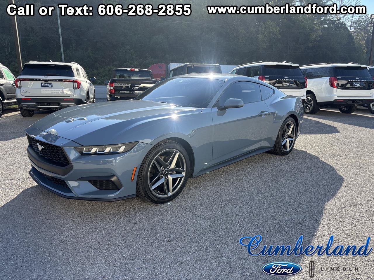 Used 2025 Ford Mustang Coupe RWD image 1