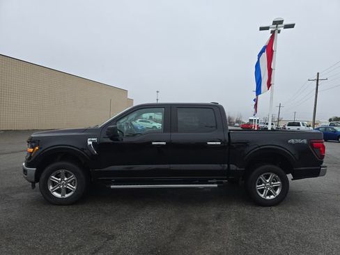 Used 2025 Ford F150 XLT w/ Equipment Group 301A Standard image 8