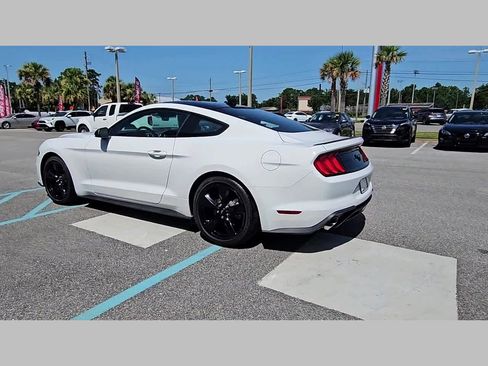 Used 2023 Ford Mustang Premium w/ Mustang Nite Pony Package image 24