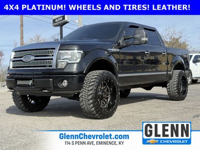 Used 2010 Ford F150 Platinum