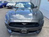 Used 2016 Ford Mustang GT Premium w/ Equipment Group 401A image 3