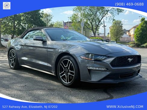 Used 2022 Ford Mustang Premium w/ Equipment Group 201A image 5