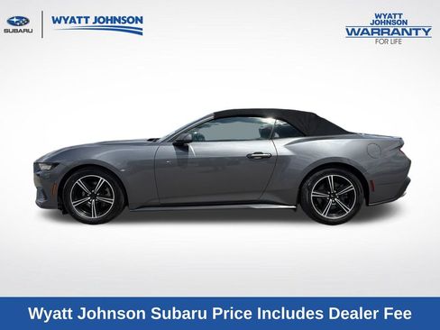 Used 2024 Ford Mustang Premium RWD image 5