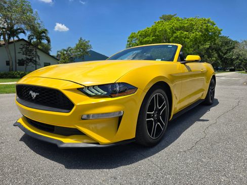 Used 2018 Ford Mustang Premium w/ Equipment Group 201A RWD image 1