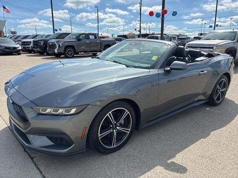 Used 2024 Ford Mustang Premium image 4