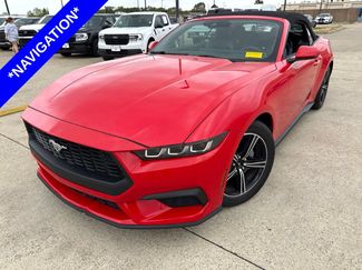 Used 2025 Ford Mustang Premium RWD video 1