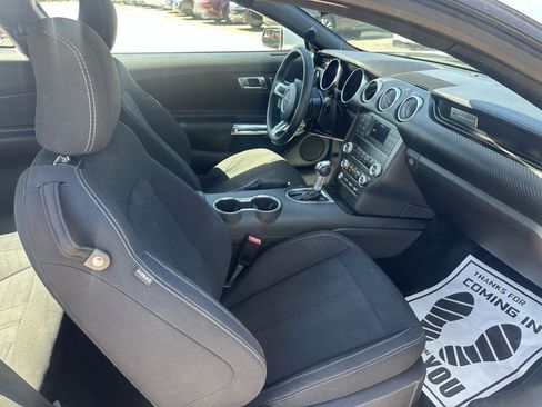 Used 2019 Ford Mustang Coupe RWD image 14