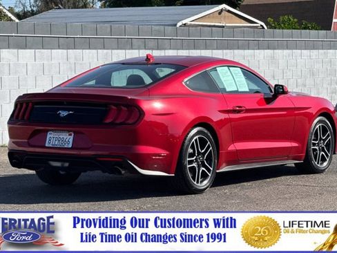 Used 2020 Ford Mustang Coupe w/ Equipment Group 101A RWD image 4