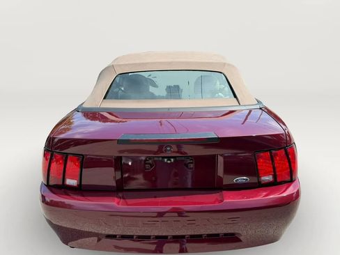 Used 2004 Ford Mustang Premium RWD image 4