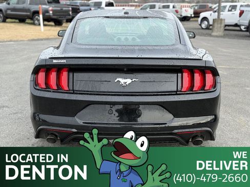 Used 2019 Ford Mustang Coupe w/ Equipment Group 101A image 6