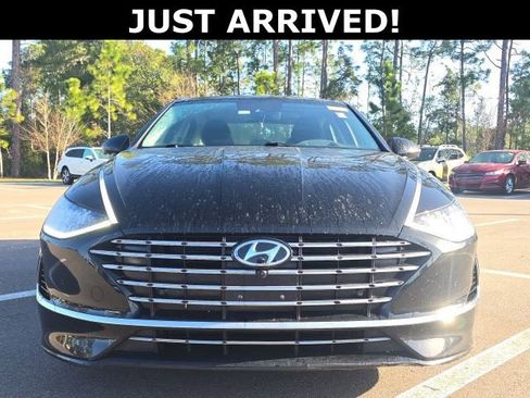 Used 2023 Hyundai Sonata Limited image 2