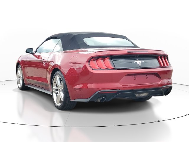 Used 2021 Ford Mustang Premium w/ Equipment Group 201A RWD image 3
