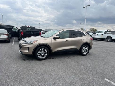 Used 2020 Ford Escape SE image 1