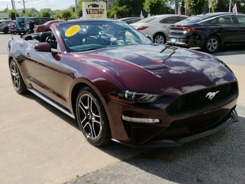 Used 2018 Ford Mustang Premium RWD image 5