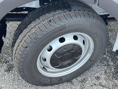New 2026 Ford Transit 250 148 Medium Roof w/ Load Area Protection Package RWD image 22