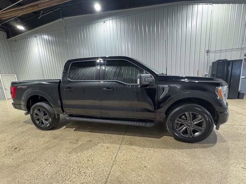Used 2023 Ford F150 XLT w/ Equipment Group 302A High AWD/4WD image 7