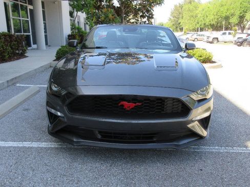 Used 2019 Ford Mustang Premium w/ Equipment Group 201A RWD image 8