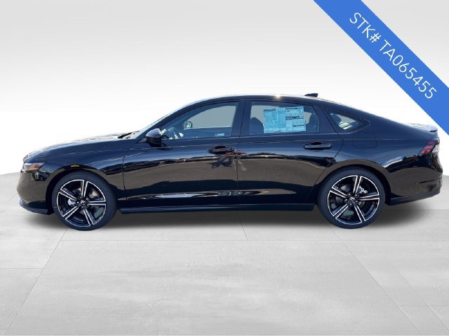 New 2026 Honda Accord Sport image 4