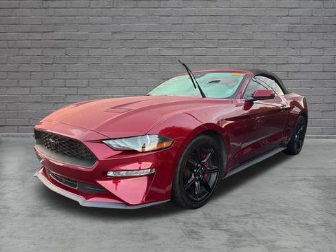 Used 2018 Ford Mustang Premium w/ Equipment Group 201A RWD image 9